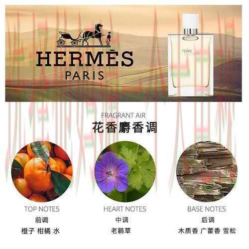 亚盈体育登录链接官方网站入口 亚盈体育登录链接官方网站入口